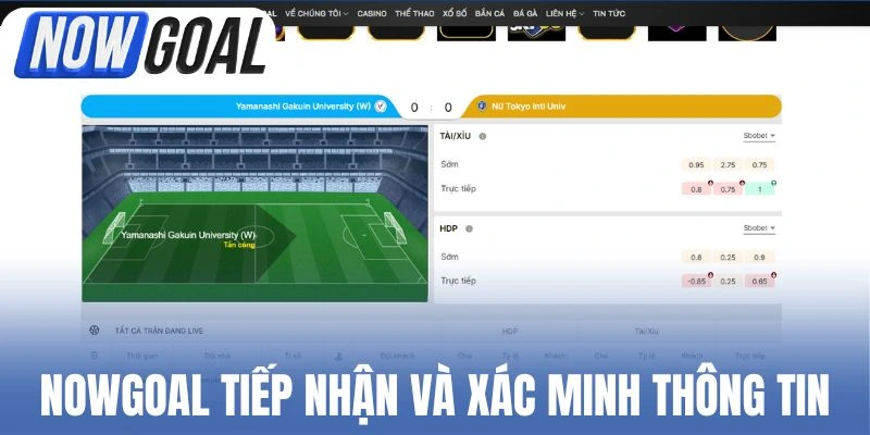 Nowgoal tiếp nhận và xác minh thông tin