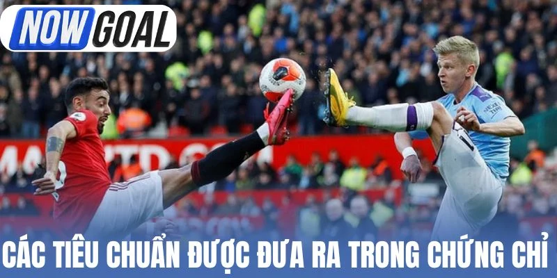 Các tiêu chuẩn được đưa ra trong chứng chỉ 