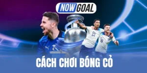 Cách Chơi Bóng Cỏ - Thủ Thuật Cược Kiếm Lợi Nhuận Lớn 