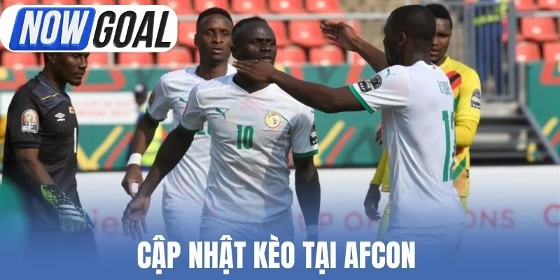 Cập nhật kèo tại AFCON