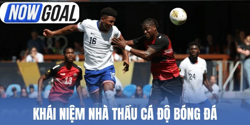 Khái niệm nhà thầu cá độ bóng đá