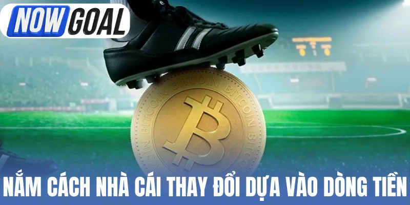 Nắm cách nhà cái thay đổi tỷ lệ dựa vào dòng tiền
