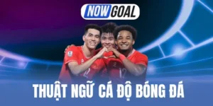 Thuật Ngữ Cá Độ Bóng Đá - Giải Nghĩa Chi Tiết Các Khái Niệm
