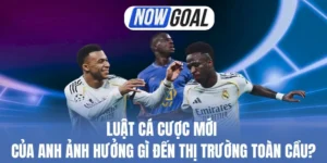 Thị trường chuyển sang cược bền vững