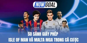 Phân tích dòng tiền chính của MGA